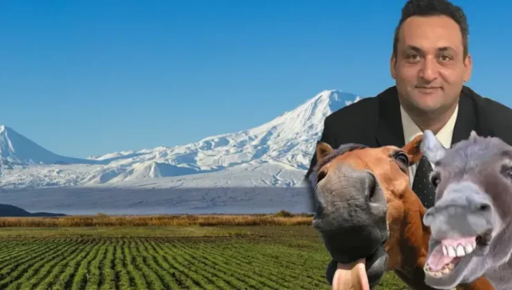 At ve Eşek Eti Nasıl Anlaşılır? Detaylar Burada!