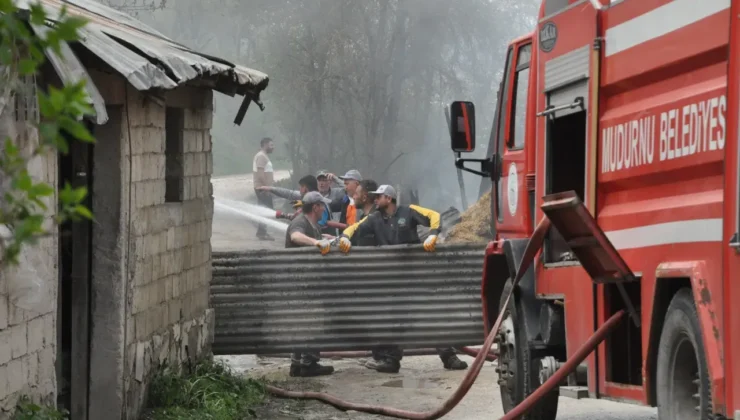 Mudurnu’da Samanlık Yangını: Oğlağı Kurtarmanın Sevinci