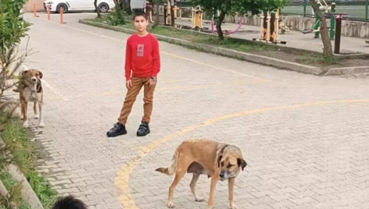 Ordu’da 7. Sınıf Öğrencisi Talha Yaktı, TÜBİTAK Yarışmasında Bölge İkincisi Oldu!