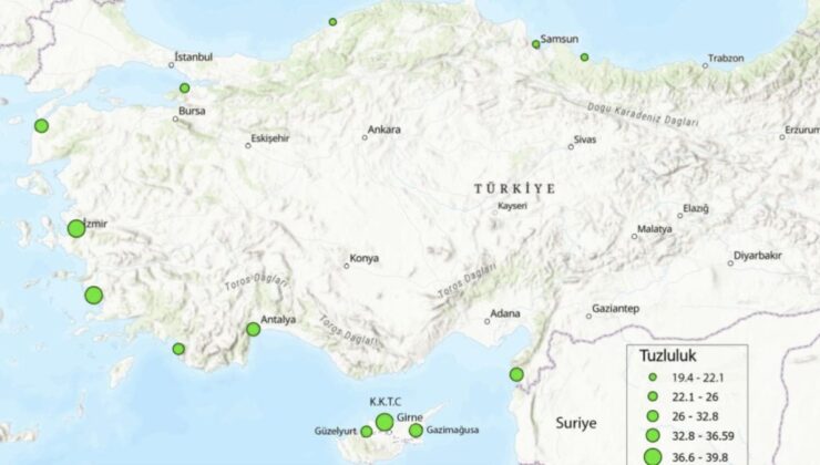 Türkiye Denizlerindeki Son Durum! Öğrenciler ve Mezunlar Büyük Proje ile Açıkladı