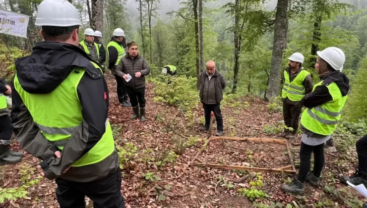 Yenice’de sürdürülebilir ormanlar için eğitimler