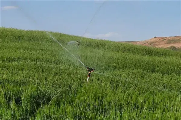 Mahkemelerin Hızlı Kararları Elektrik Şirketlerini Zorluyor