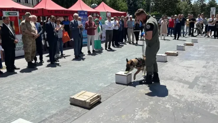 Bolu Kent Meydanı’nda Uyuşturucuyla Mücadele Etkinliği