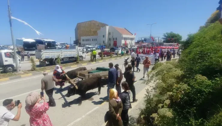 İstiklal Yolu Yürüyüşü Heyecanı!