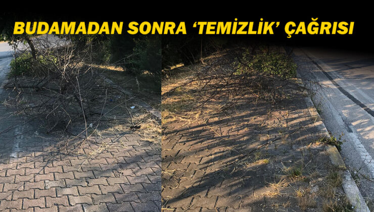 Düzce’de Budama Atıkları Tehlike Saçıyor