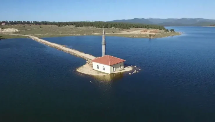 İhaleye Uygunluğunuz için Dikkat Edilmesi Gereken Şartlar