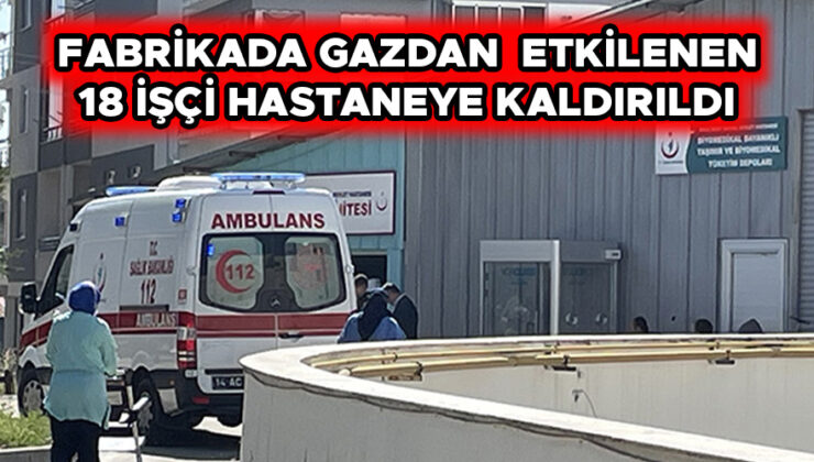 Bolu fabrikasında amonyak gazı sızıntısı: 18 işçi hastaneye kaldırıldı