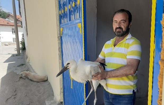 Isparta’da yuvasından düşen leylek yavrusu kurtarıldı!