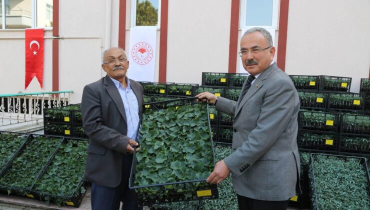 Tarım ve Hayvancılıkta Devrim: Büyükşehir Belediyesi Projesi