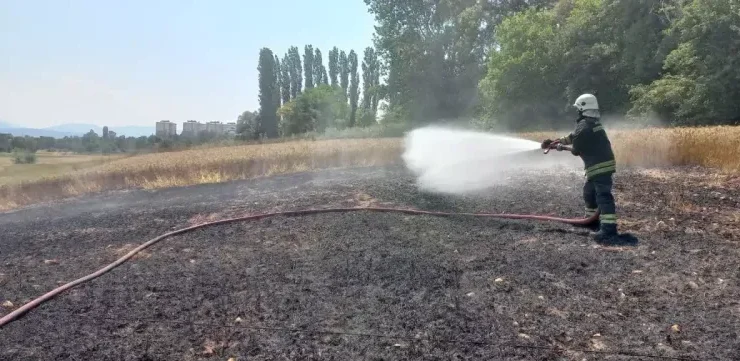 Bolu’da Elektrik Direği Yangını: Tarlayı Kül Etti