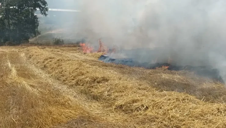 Saçcılar Köyü’nde Buğday Tarlasını Kül Eden Yangın!