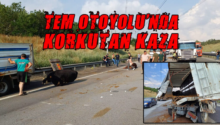 Tır Çarptı! Otoyol Kapanıp Trafiğe Aksadı