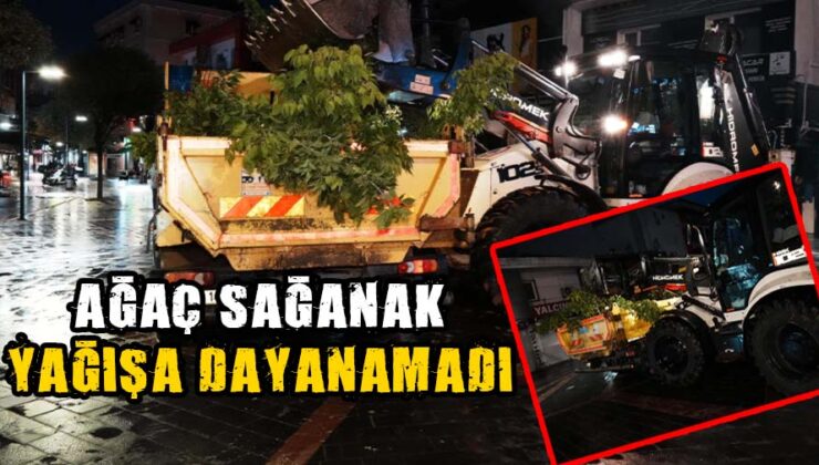 Gaziantep Caddesi’nde Devrilen Ağaç Hızlıca Kaldırıldı