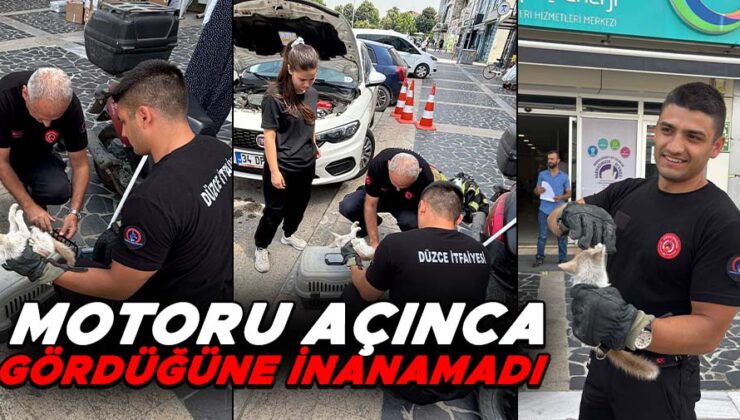 TALİHSİZ KEDİ ARACIN MOTORUNDA SIKIŞTI!