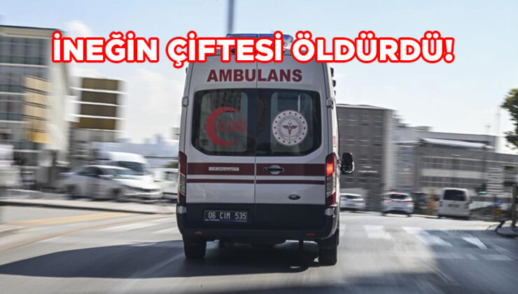 Mudurnu’da İnek Şiddeti: Kadın Hayatını Kaybetti