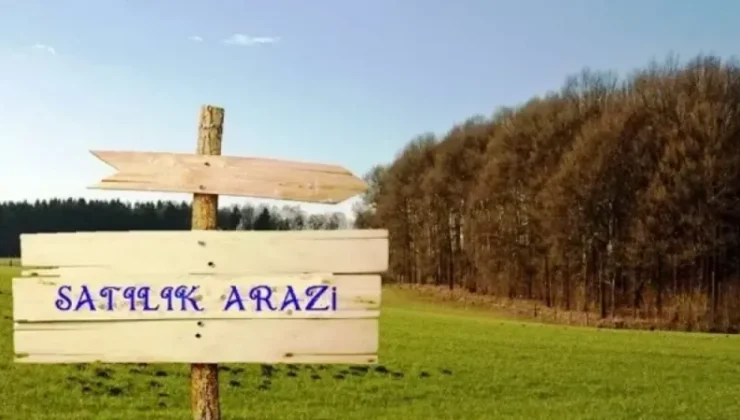 Ankara, Bolu, Denizli’de Satılık Arsalar! İhaleler Başladı