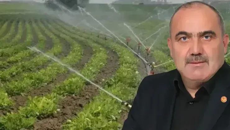 Anız Yakmanın Zararları ve Cezaları