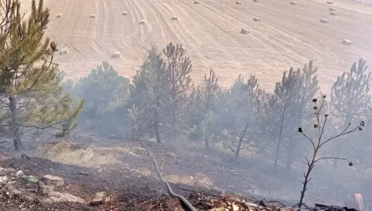 Hızlı İhbar, Yangını Kontrol Altına Aldı