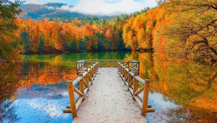 Bolu’nun En Popüler 5 Tatil Köyü! Gölcük, Mudurnu, Yedigöller, Kartalkaya, Abant.