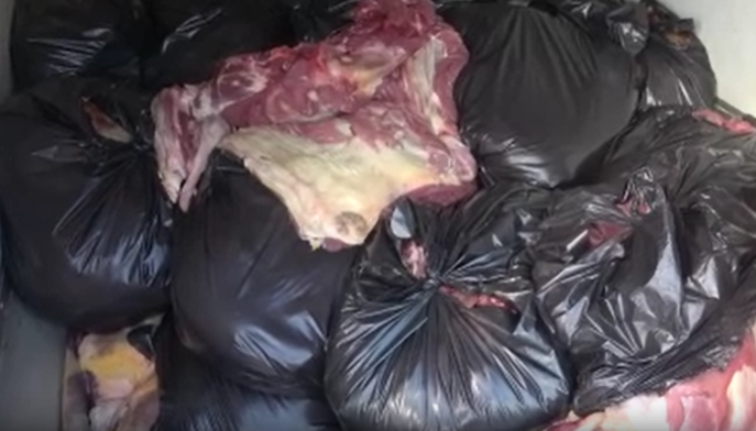 Skandal Adana’dan: 1.5 Ton At ve Eşek Eti Yakalandı!