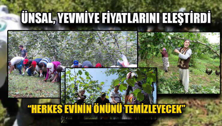 Fındık Üreticileri İstismara Karşı Ayakta