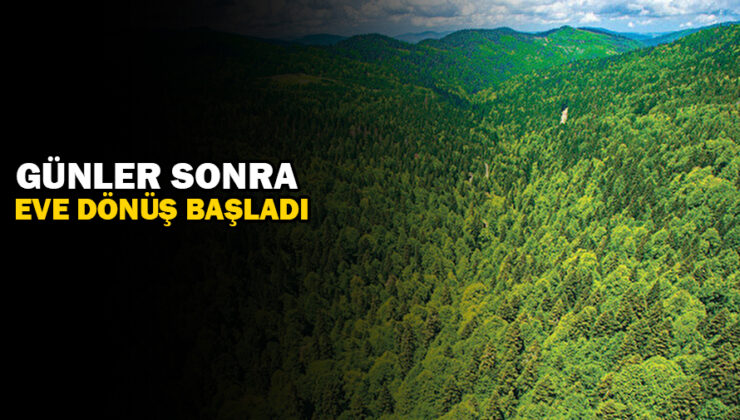 Düzce’de Yangın Dolu Anılar! Vatandaşlar Evlerine Dönüyor