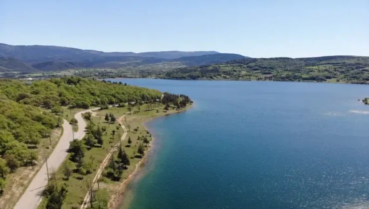 Gölköy Barajı’nda Balık Ölümleri: Son Durum