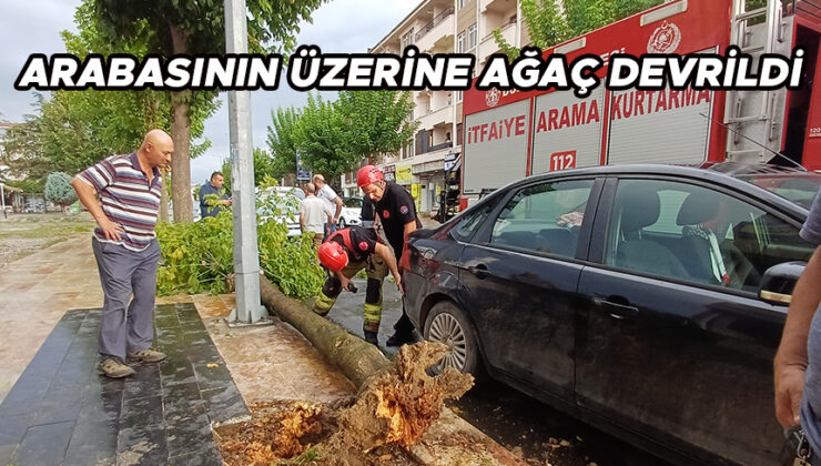 Ağaç Aracın Üzerine Düştü: Yeni Araç Perişan!