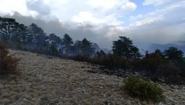 Yangın Krizi: Göynük’te Hızlı Müdahale!