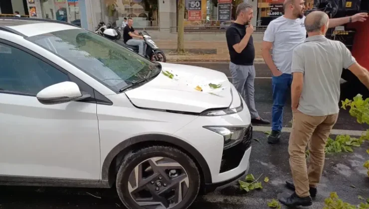 Yeni Araba Talihsizliği: Ağaç Üzerine Devrildi!