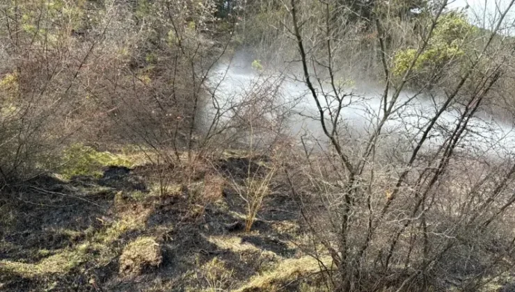 Bolu’da Orman Yangını: Halk ve Ekipler Dayanışma Gösterdi