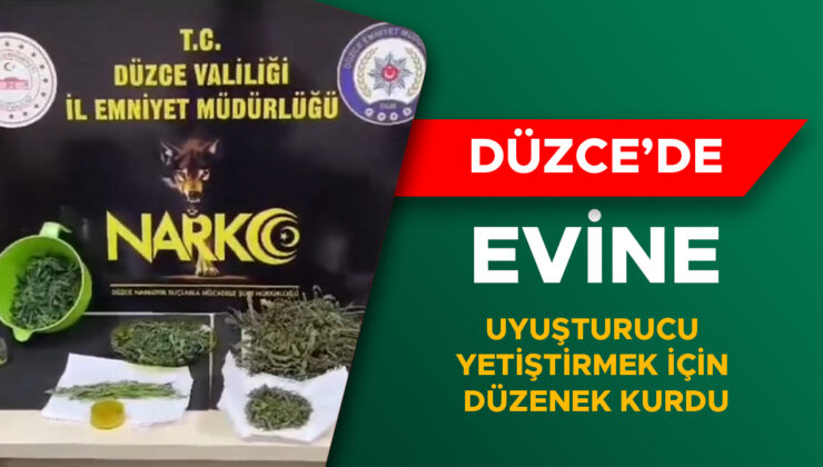 Kenevir Yetiştiricisine Operasyon: 11 Kök Ele Geçirildi!