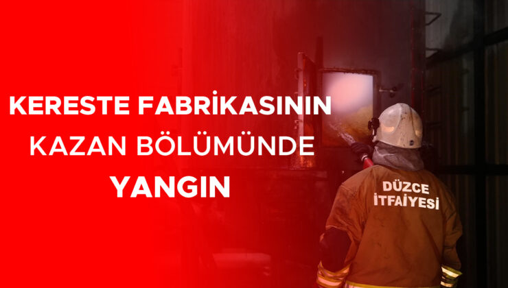 Kereste Fabrikasında Yangın: İki Yaralı, Maddi Hasar!