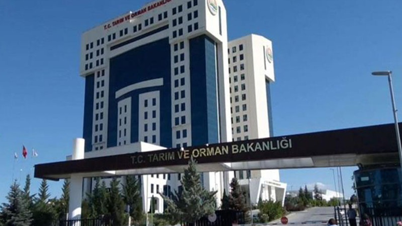 Güvensiz Gıda Alarmı: Yeni Ürünler Listelendi!