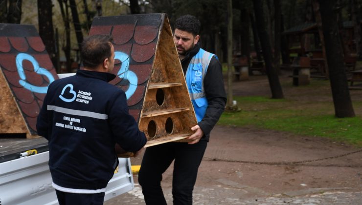 Balıkesir’de Sokak Hayvanlarına Yeni Yuva Projesi Başladı!