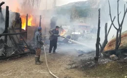 Uzunçam köyünde yangın paniği: Evin de ahır da yandı!