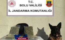 Bolu’da Uyuşturucu Operasyonları, 85 Gram Likit Esrar Ele Geçirildi!