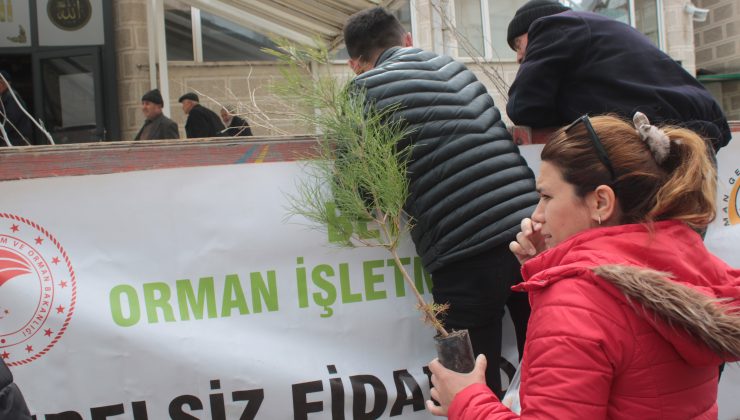 Beypazarı’nda Fidan Dağıtımı ve Dikimi Gerçekleşti!