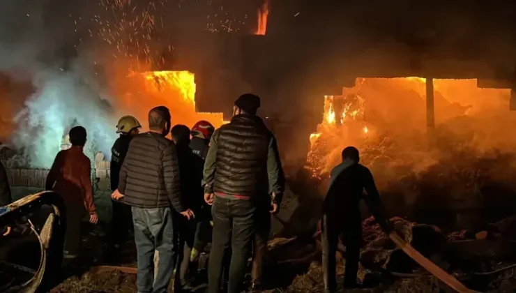 Bolu’da Gece Yarısı Korkutan Yangın Panik Yarattı