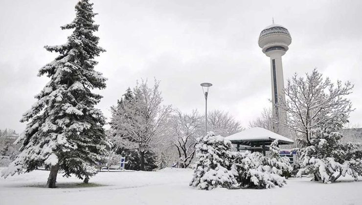 Ankara’da Zirayi Don Uyarısı: Soğuk Hava Geliyor!