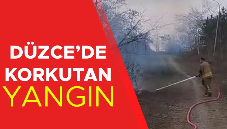 Düzce’de Anız Yangını, İtfaiye Ekipleri Müdahale Etti!