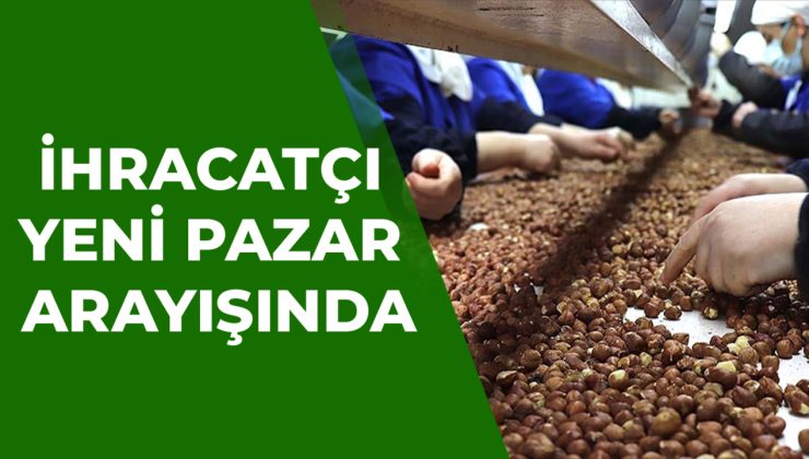 Fındık İhracatında Yeni Satış Noktaları Arayışı