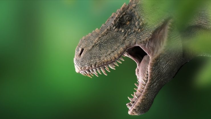 Dinozorlar yok olmaya mahkûm değildi, araştırma söylüyor!
