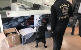 Bolu’da 8 Kaçakçılık Operasyonu: 7 Gözaltı!