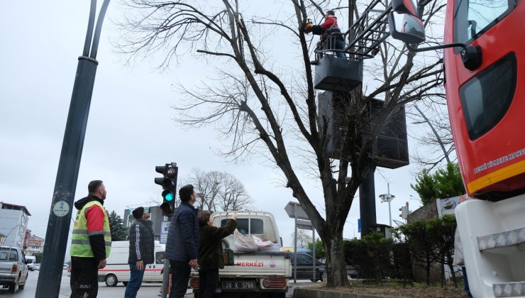 Bulancak’ta Kuş Evleriyle Doğaya Destek Veriliyor!