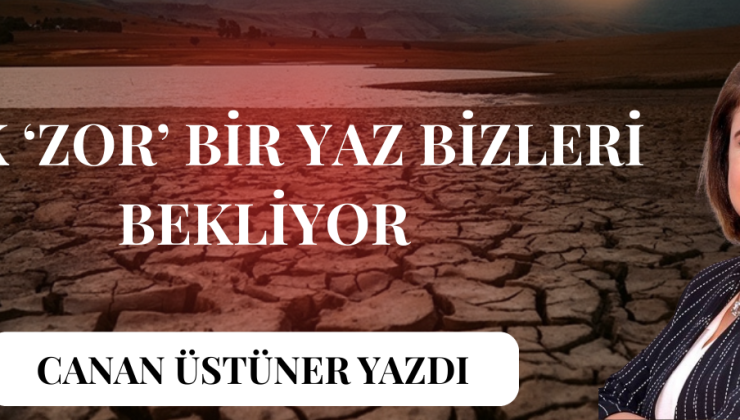 İklim Değişikliği Alarm Veriyor: Düzce’de Kuraklık Tehdidi!