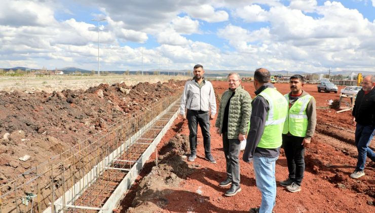 Sokak Hayvanları İçin Doğal Yaşam Alanı Açılıyor!