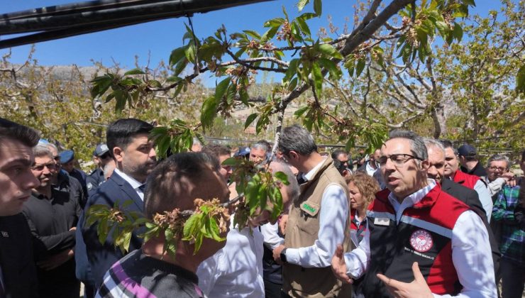 Isparta’da Zirai Don, Üreticilere Hızlı Destek Sağlanıyor!