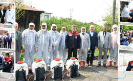 Kahverengi Kokarcaya Karşı 1 Milyon Samuray Arısı!