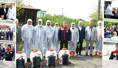 Kahverengi Kokarcaya Karşı 1 Milyon Samuray Arısı!
